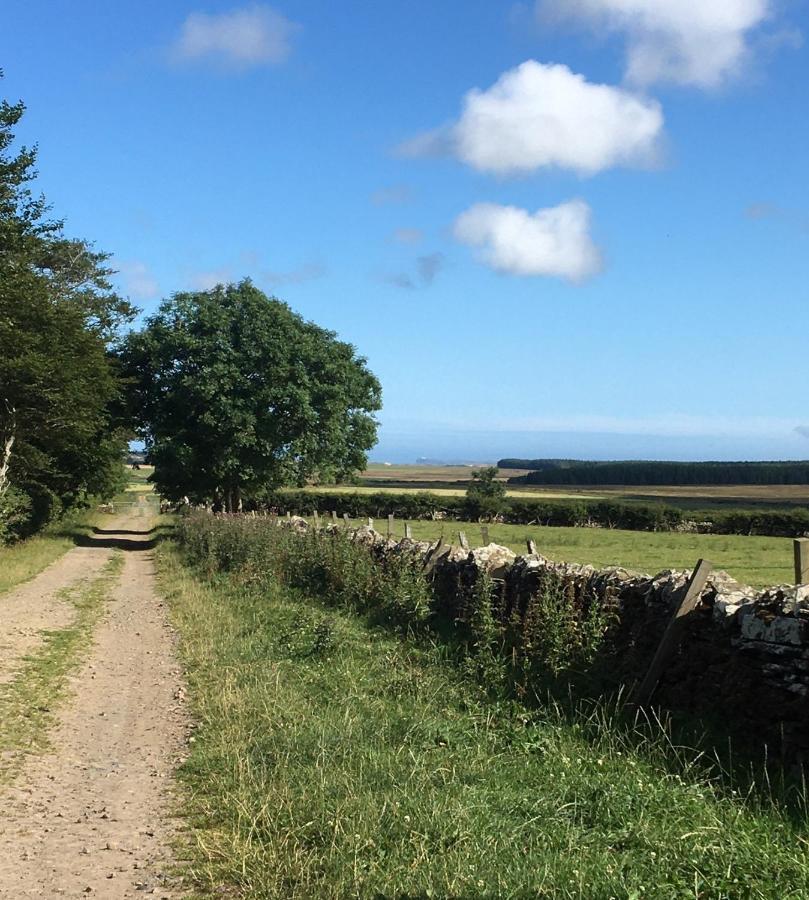 Caithness View Luxury Farm Lodges And Bbq Huts ウィック エクステリア 写真