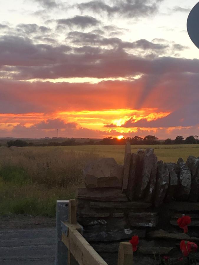 Caithness View Luxury Farm Lodges And Bbq Huts ウィック エクステリア 写真